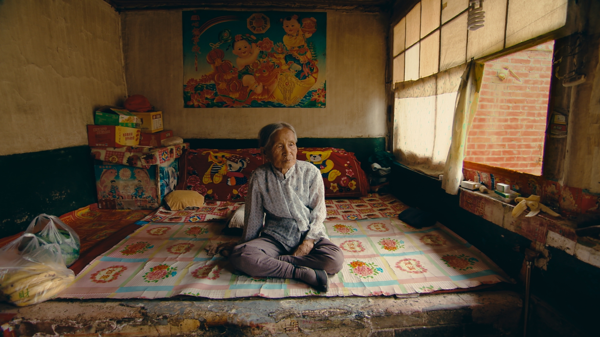 The Documentary Reel’s actual poster: a woman seated in a room lit by a window.